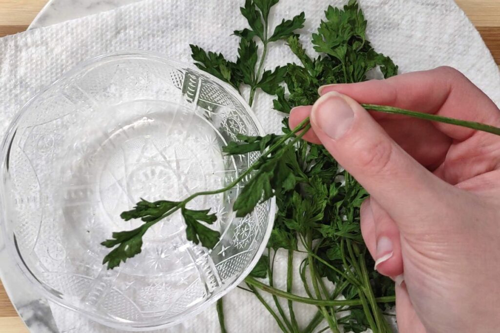 remove dried parsley leave from the stems