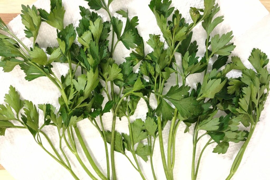 spread parsley over paper towel on a microwave safe plate