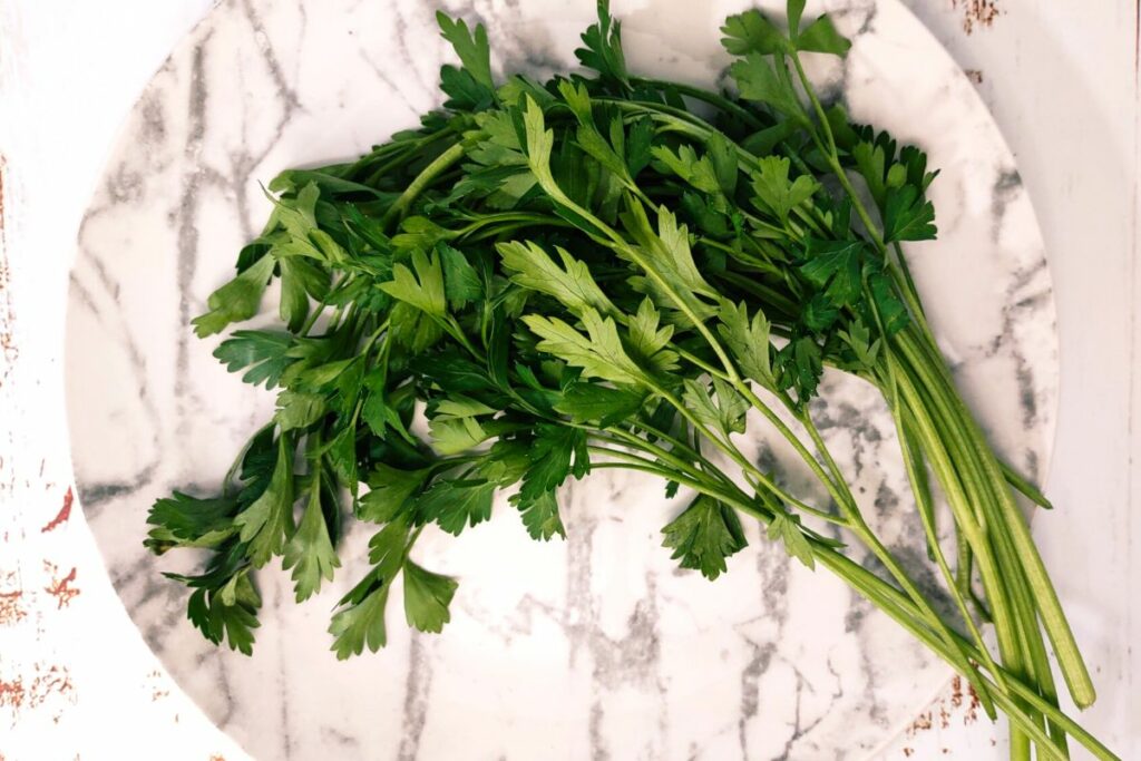 fresh sprigs of parsley on a plate