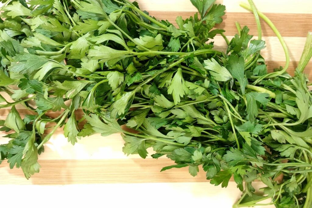 start with clean dry fresh parsley