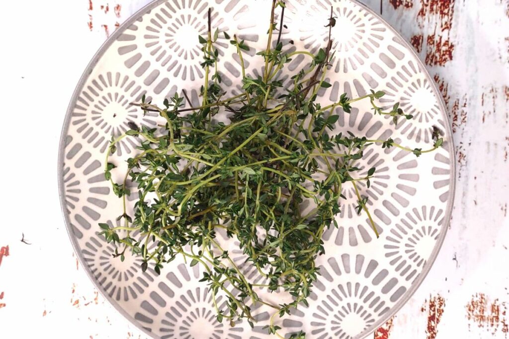 fresh clean and dried thyme sprigs on a plate