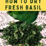 how to dry fresh basil in the air fryer dinners done quick pinterest