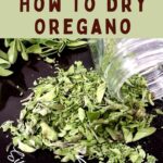 how to dry oregano in the microwave dinners done quick pinterest
