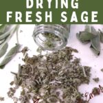 how to dry sage in the air fryer dinners done quick pinterest