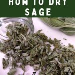 how to dry sage in the microwave dinners done quick pinterest