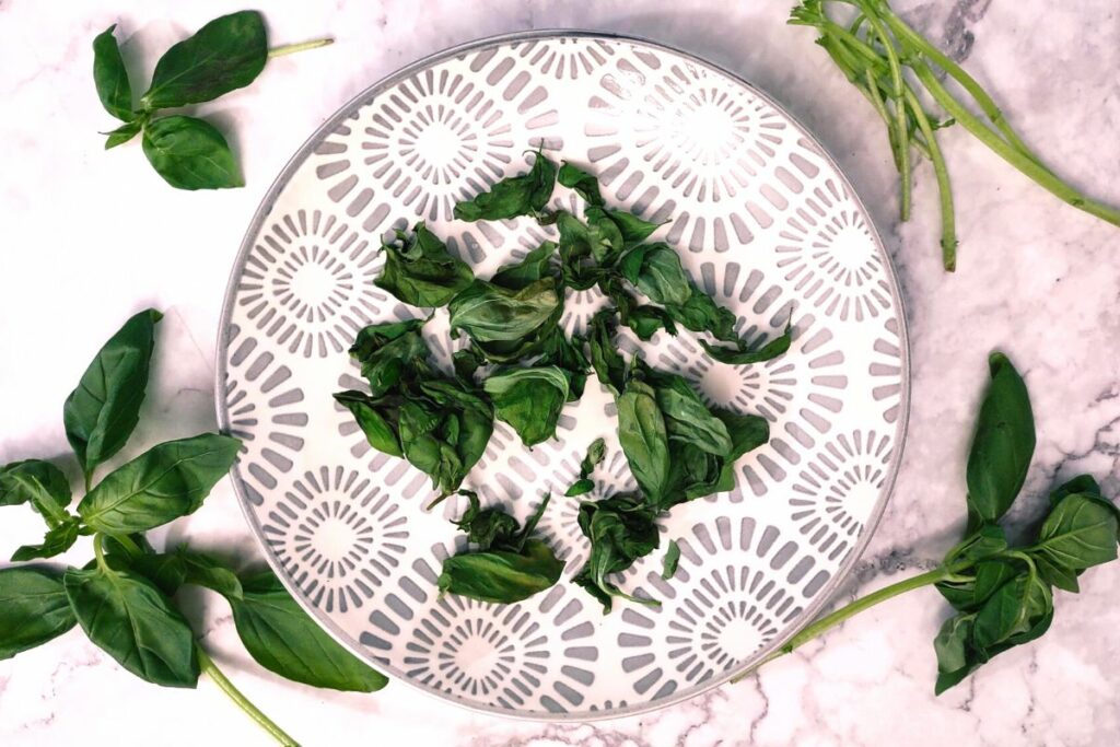 dehydrated full basil leaves on a plate surrounded by fresh basil