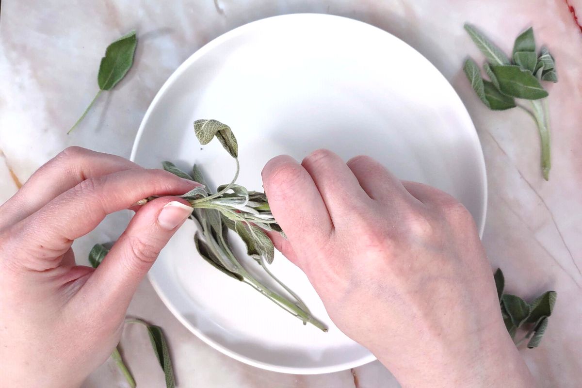 How to Dry Sage in the Air Fryer Quick and Easy Dinners Done Quick