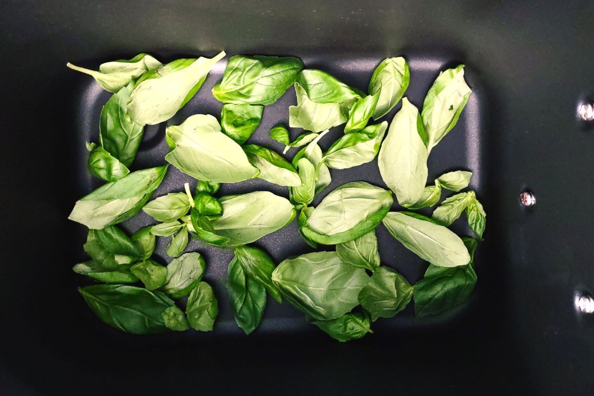 How to Dry Fresh Basil in the Air Fryer Quick Dehydration Dinners