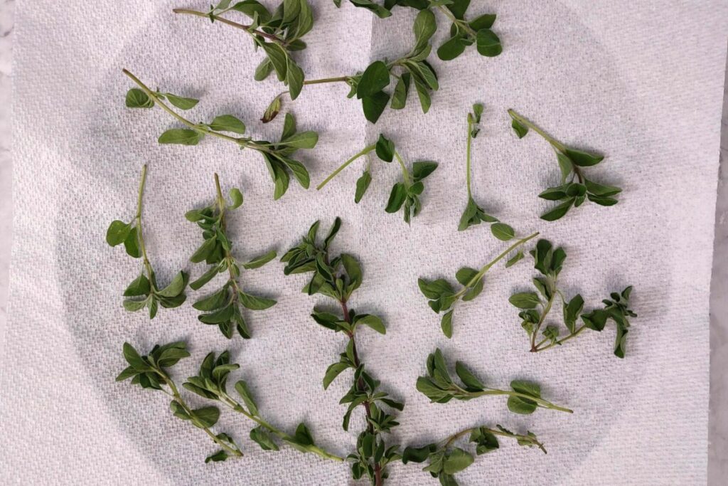 spread fresh oregano leaves on top of a paper towel