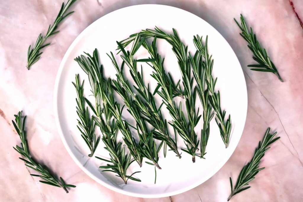 wash and dry fresh rosemary then trim stems below the leaves