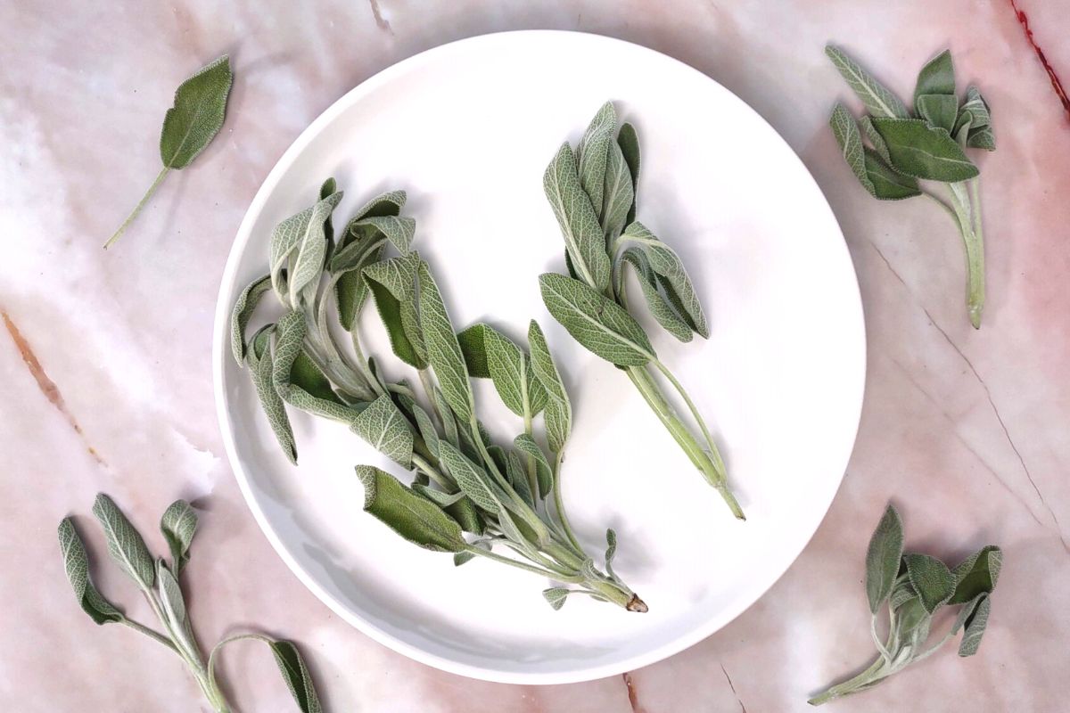 How to Dry Sage in the Air Fryer Quick and Easy Dinners Done Quick