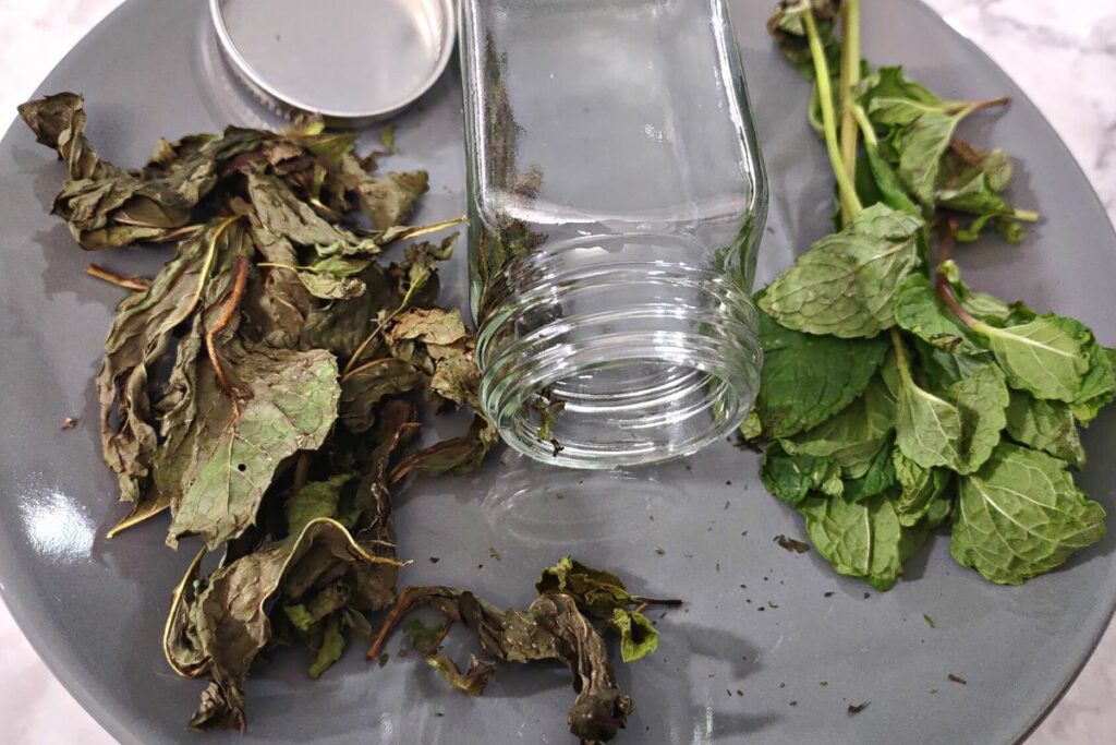 air fryer dried vs fresh mint leaves on a plate with empty spice jar in between