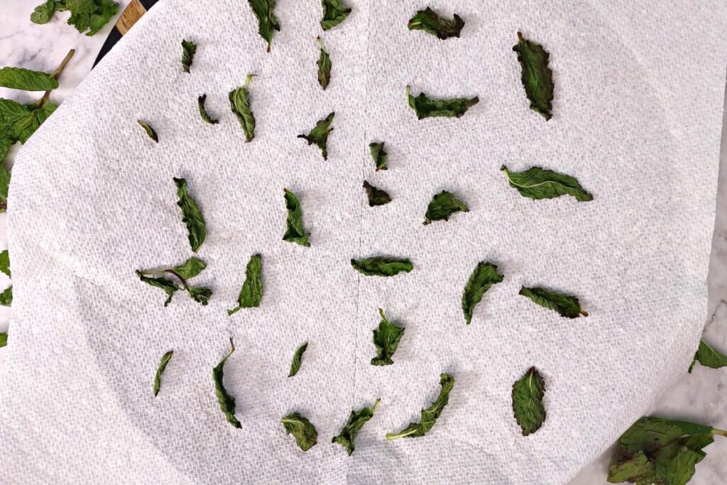check microwave dried mint leaves to see if they are done