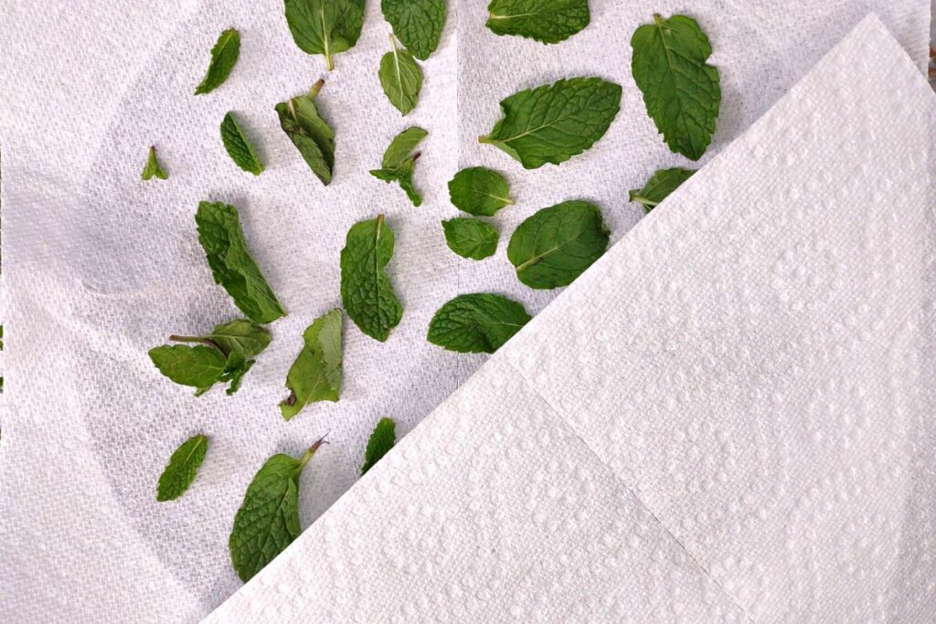 cover mint leaves with a second paper towel