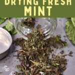 how to dry fresh mint in the air fryer dinners done quick pinterest