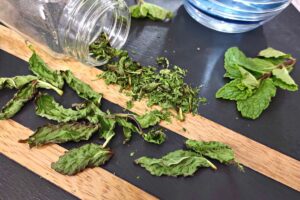 How to Dry Mint in the Microwave Quick and Easy