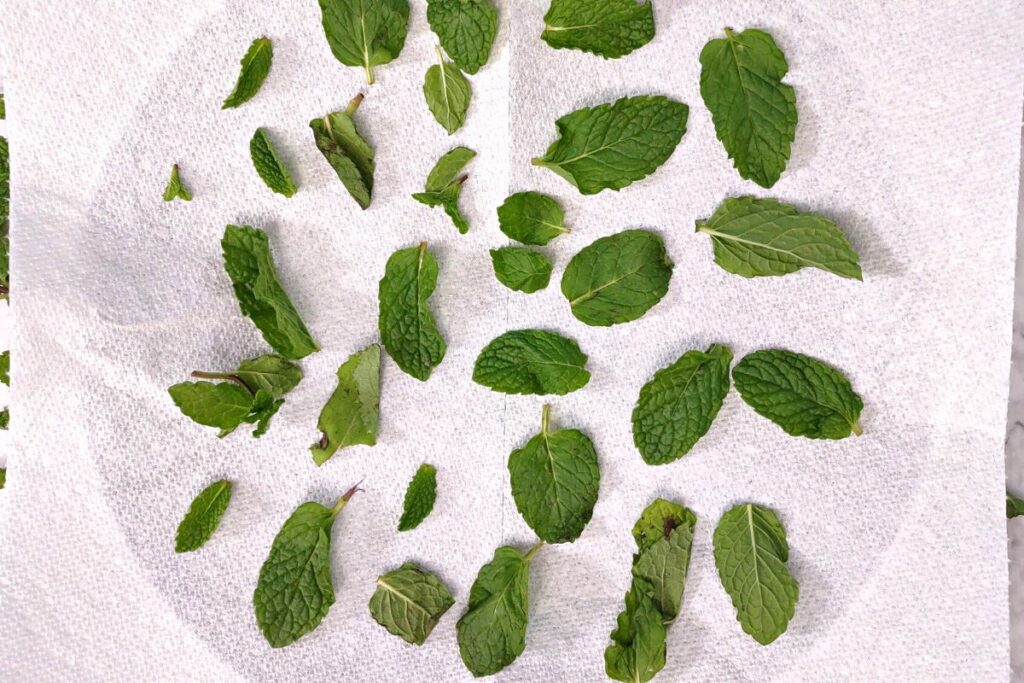 place fresh mint leaves on a paper towel