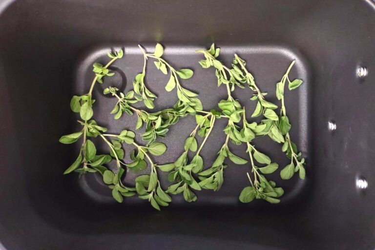 How to Dry Fresh Oregano in the Air Fryer Easy Dinners Done Quick