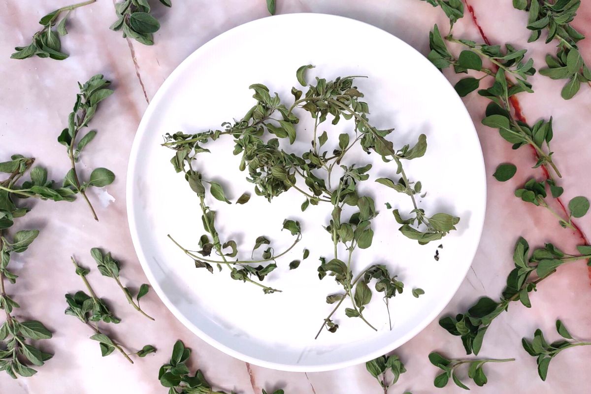 How to Dry Fresh Oregano in the Air Fryer Easy Dinners Done Quick