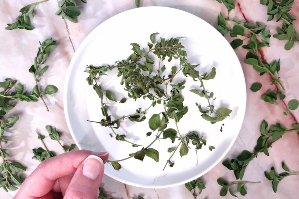 remove dried oregano leave from the stem using your hands