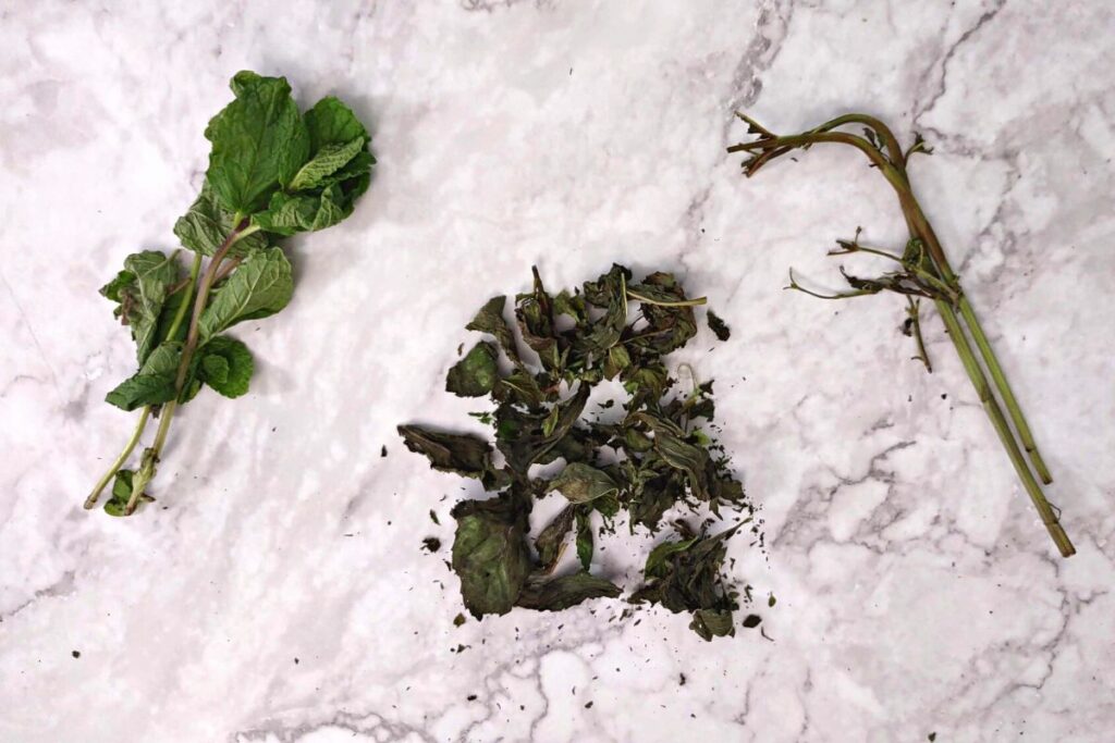 dried mint leaves separated from their stems on a countertop