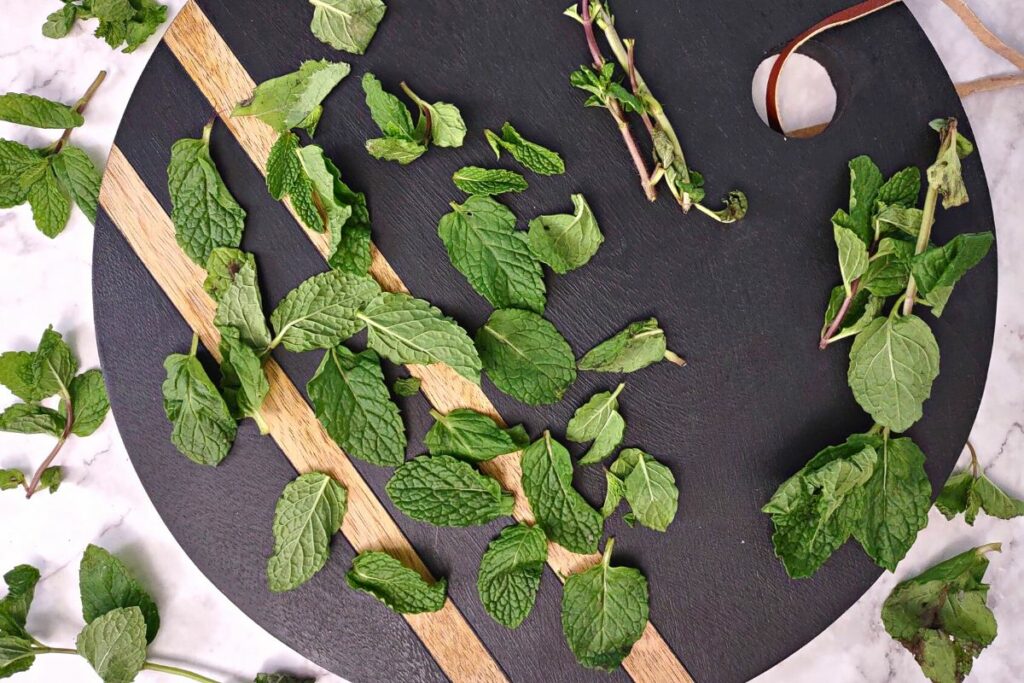 separate fresh mint leaves from the stems