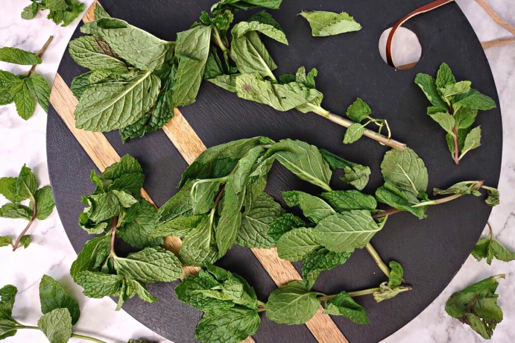 start with clean fresh mint