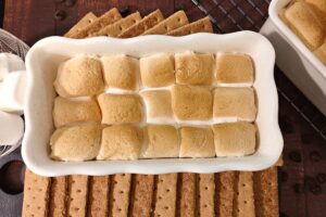 Air Fryer S'Mores Dip (with Cookie Dough)