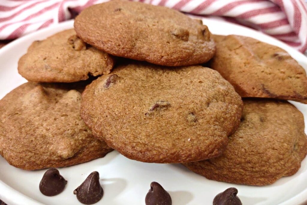 easy cinnamon chocolate chip cookies on a plate made in the air fryer and oven