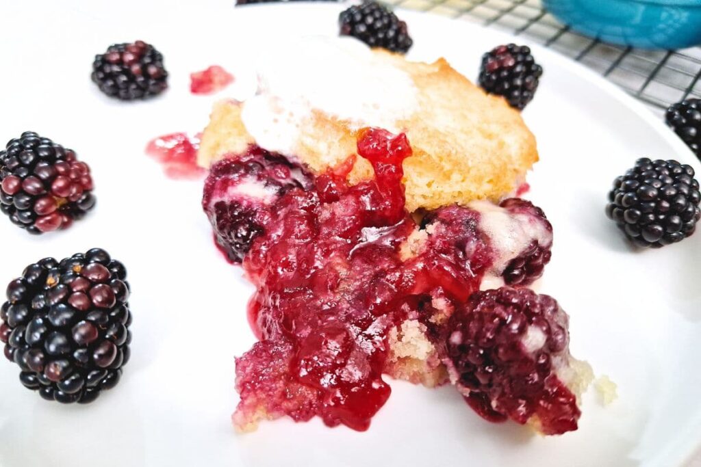 closeup of juicy blackberry cobbler on a plate with whipped cream and fresh fruit
