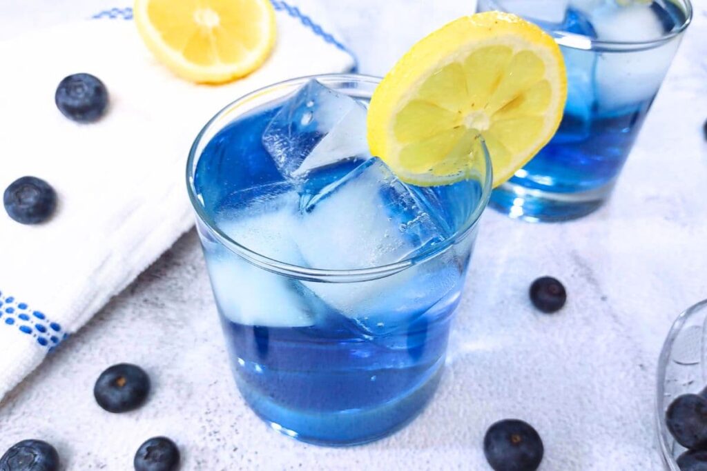blueberry gin cocktails with fresh lemon slices