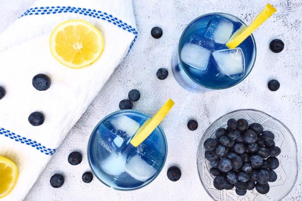 overhead view of two glasses of blueberry gin cocktails with fresh blueberries and lemon