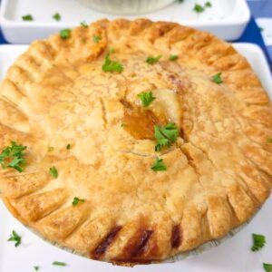 how to make frozen chicken pot pie in the air fryer dinners done quick featured image