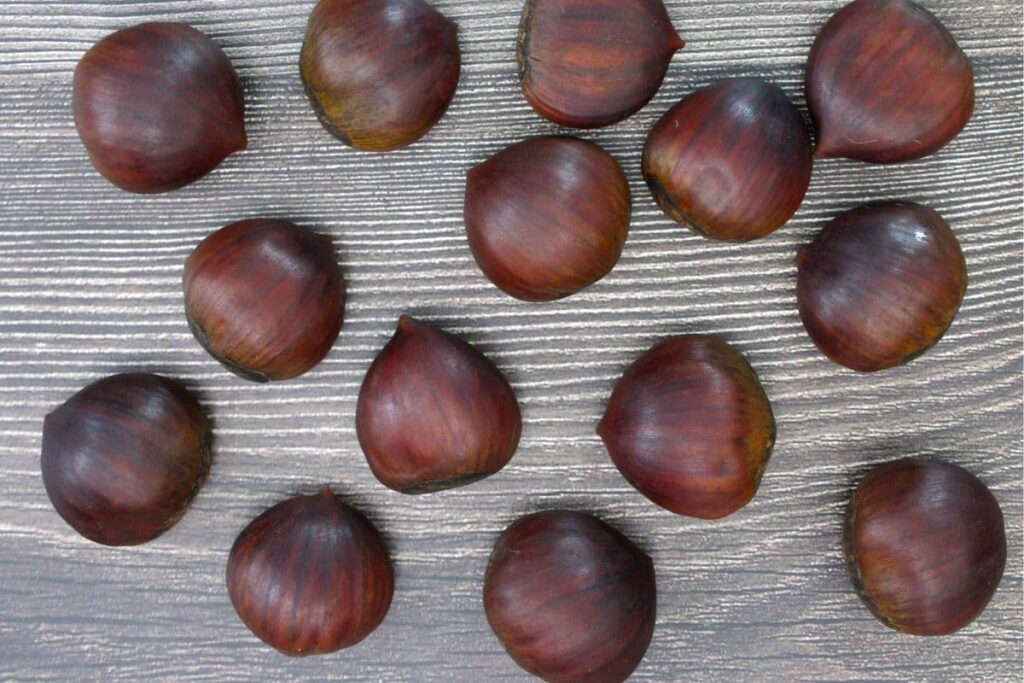 fresh chestnuts to be roasted in ninja air fryer