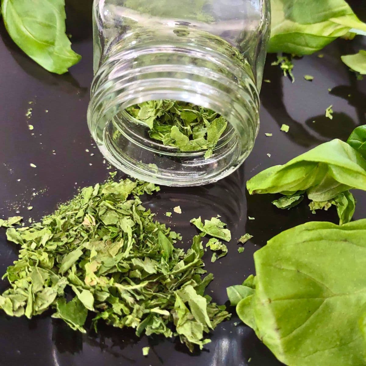 How to Dry Fresh Basil in the Microwave Quick and Easy Dinners Done