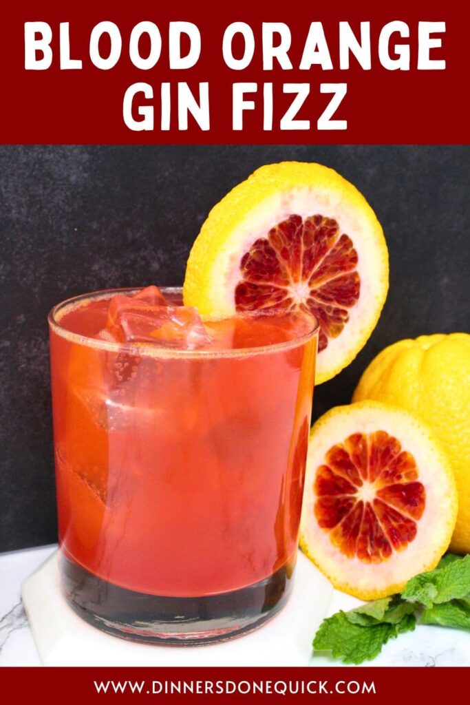 blood orange gin fizz cocktail recipe dinners done quick pinterest