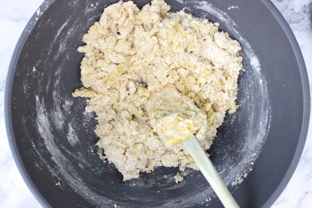 add egg, milk, and mashed bananas and stir until dough forms