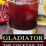 gladiator cocktail recipe dinners done quick pinterest