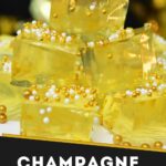 champagne jello shots recipe dinners done quick pinterest