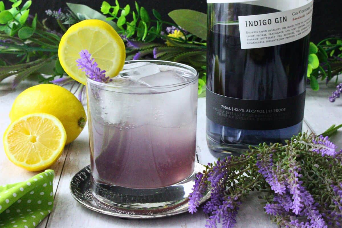 lavender gin fizz in rocks glass with lemon garnish next to indigo gin bottle