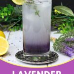 lavender vodka lemonade recipe dinners done quick pinterest