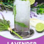 lavender mojito recipe dinners done quick pinterest