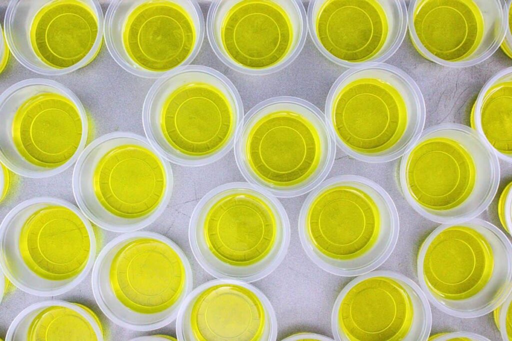 pour lemon jello mixture into base of jello cups