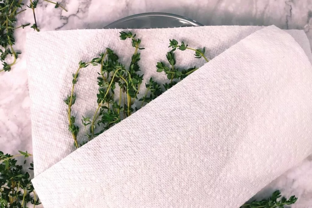 cover thyme sprigs with a second paper towel