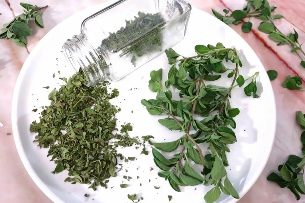 How to Dry Fresh Oregano in the Air Fryer Easy Dinners Done Quick