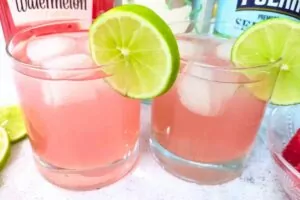 watermelon gin fizz cocktail dinners done quick