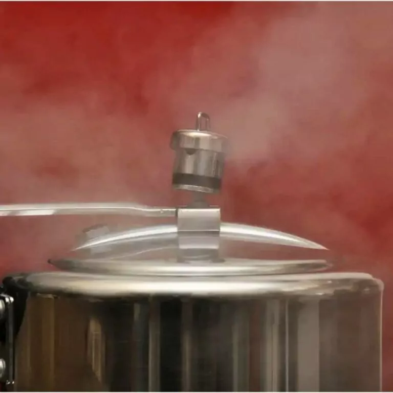 5 Best Microwave Pressure Cooker Recipes To Try Today featured image