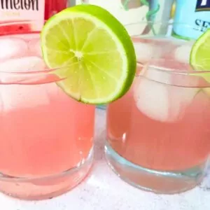 watermelon gin fizz cocktail dinners done quick featured image