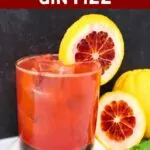 blood orange gin fizz cocktail recipe dinners done quick pinterest