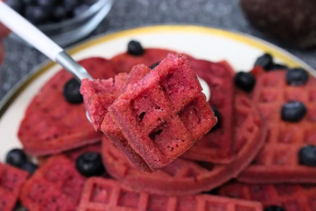 holding up a fork with pieces of beetroot waffles